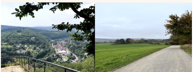 Aussichtspunkt über Eppstein und Feldweg im Taunus